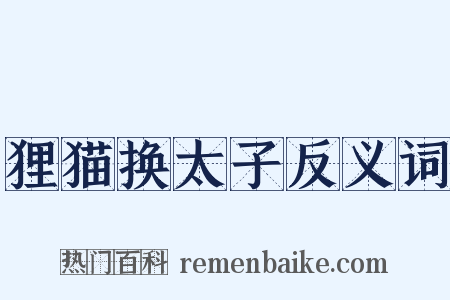 狸猫换太子反义词是什么意思的图片